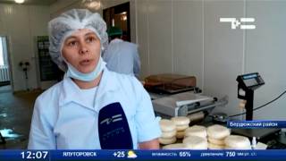 Бердюжье стало сырным краем