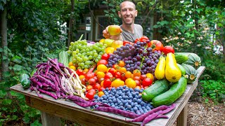 Unbelievable Organic Garden Harvest This is What I