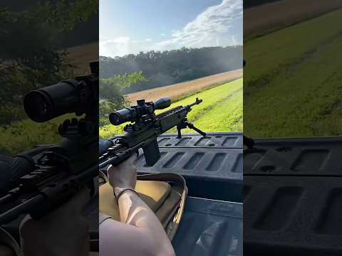 MK14 EBR .308 Rifle legal gun !