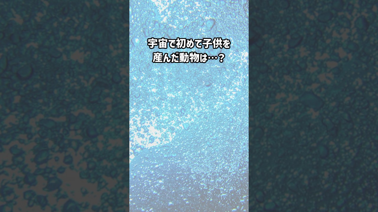宇宙で初めて子供を産んだ動物は○○○ #shorts  #朗読 #宇宙