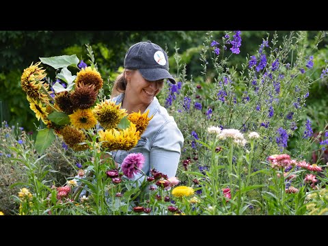 The most beautiful sunflowers in the world! Van Gogh Fantasy Mix Sunflower Arrangements // Northlawn