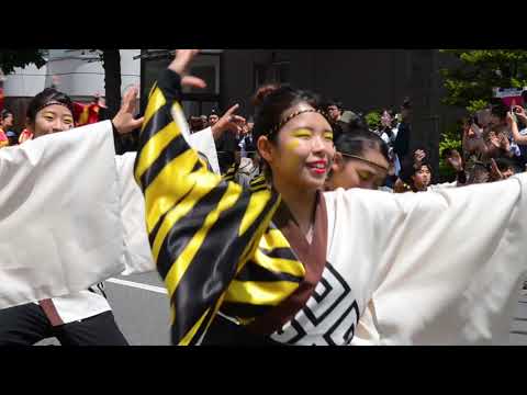 商学科 小樽商科大学”翔楽舞” 2019 四獣奏 平岸