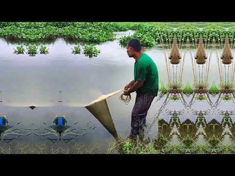 Best Net Fishing Video - New Village Fishing Video - Cast Net Fishing Video (2)