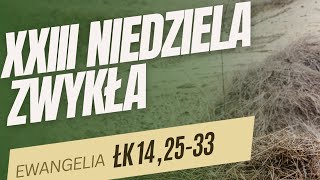 SŁOWO NA NIEDZIELĘ - XXIII Niedziela Zwykła Rok C - abp Józef Górzyński - 07.09.2025 r.
