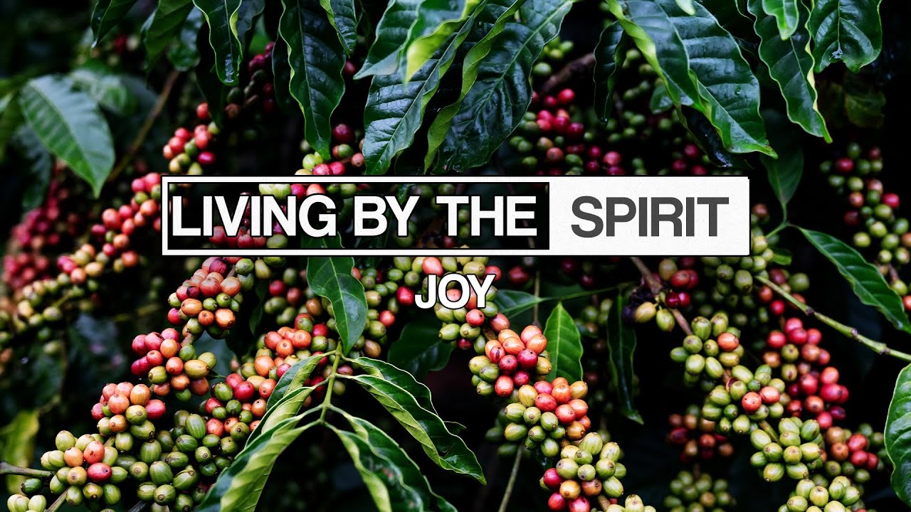 Joy | Mike Brogen