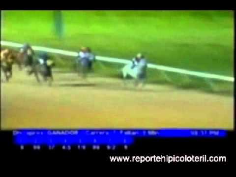 Resumen Jueves 01 de Diciembre de 2011 - Valencia.wmv