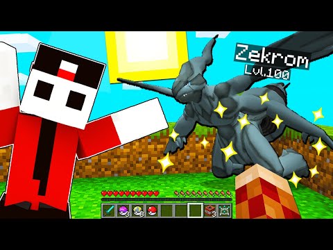 EX BIG KING WANTS A LEGENDARY POKEMON ON PIXELMON IN MINECRAFT!!