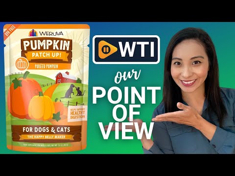 Weruva Pumpkin Patch Up - WTI product video review