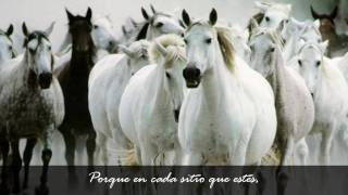 La Amistad - L&#39;amicizia- Friendship - Laura Pausini (HD VIDEO)