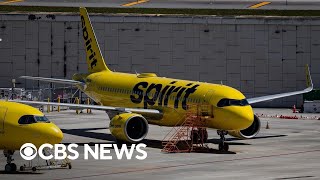 What happens if Spirit Airlines shuts down?