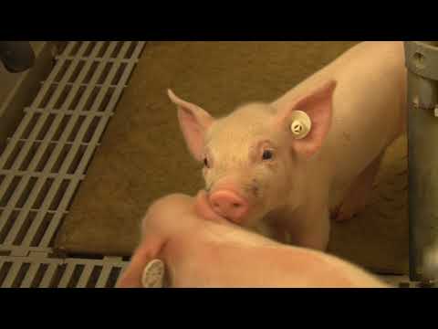 UckerStrom | Stadtwerke Prenzlau - Partner aus der und für die Region