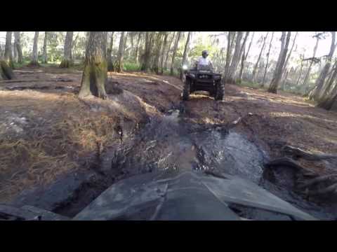 Holopaw Florida Adventure