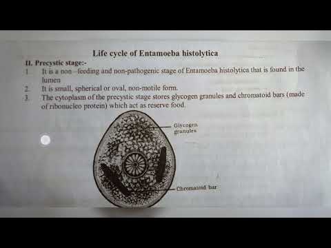 Inter 2nd year SYNAPTIC TRANSMISSION ZOOLOGY
