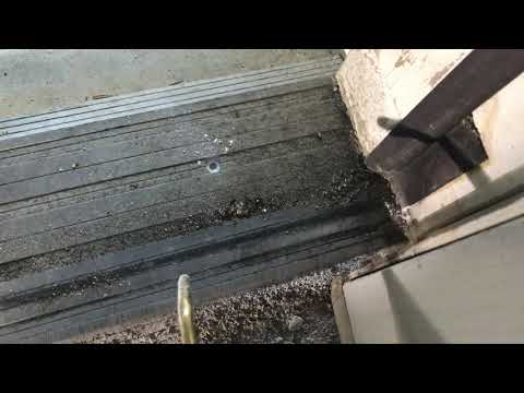 Business Infested with Pavement Ants in Long Beach Island, NJ