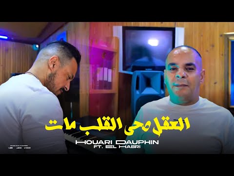 Houari Dauphin - El Galb Mat | العقل صحى - ft. Habri (Clip Officiel)