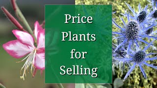 Price Plants to Sell: Plant Business Tips