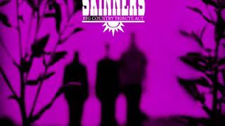 The Buffalo Skinners - Big Country - Your Spirit To Me