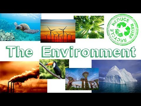 image-What is the vocabulary word for environment?