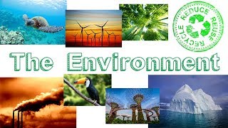 The Environment  Learn English