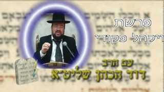 פרשת ויקהל – השבת מקור הברכה