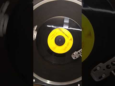 It Ain't Me Babe ~ The Turtles