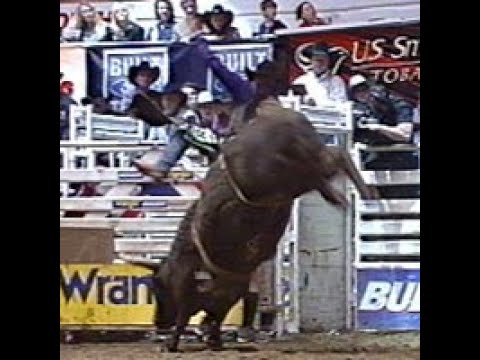 Mike White profile & ride - 02 PBR Ft. Worth (91 pts)