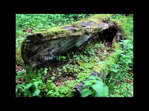 Eva-Maria Klöhr - Alles hat seine Zeit (Snippet)