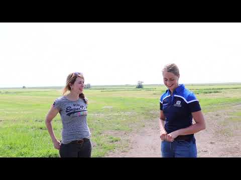 KFPS Wilma's vlog IX – Op bezoek bij opfokstal Beuckens