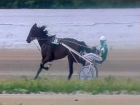 Trotto 04/06/2019 - 1ª corsa