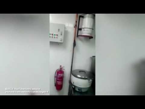 Ratten-Alarm in ekliger Küche