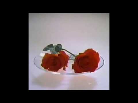 04. luxury elite - fascination