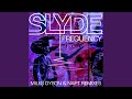 Frequency (Miles Dyson Remix)