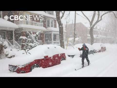 Record-breaking storm cancels school across southern Ontario