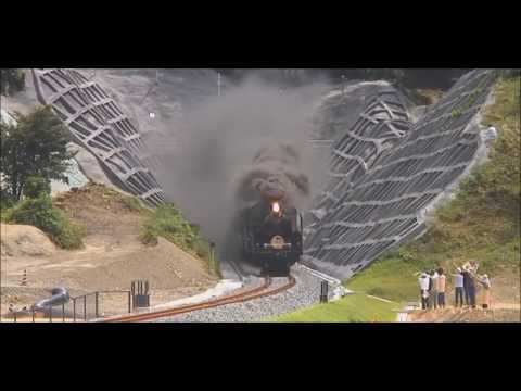 JOHN LITTLE JOHN & CAREY BELL -  LIVE AT PIT INN 1981