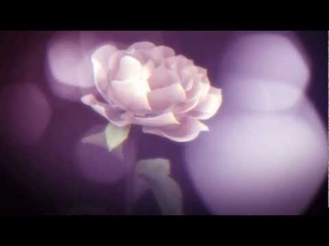 KillerSoap - The Choice That I've Made (Animation)