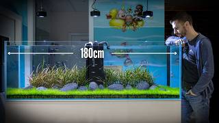 My Most Simple Aquascape Yet: Only 2 Plant Species!