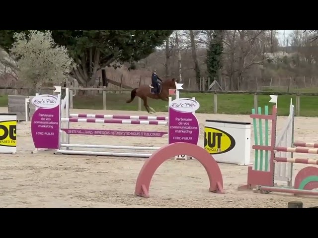 Yegua Origine Constat&eacute;e En venta 2014 Alaz&aacute;n tostado por GUEPAR DE BREKKA