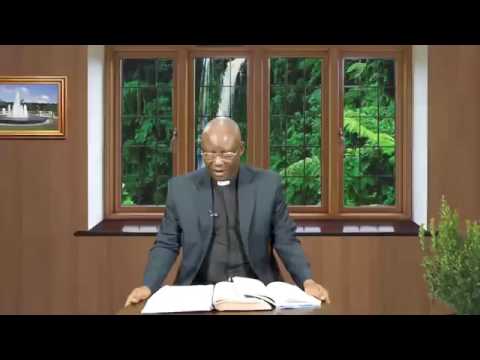 THE DAILY FOUNTAIN OF AUGUST 11, 2017