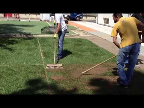 Intasamento erba ibrida- Infill hybrid grass POWERgrass