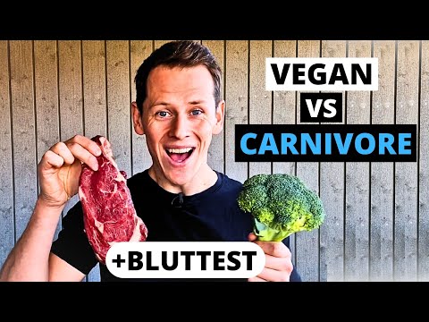 Vegan vs. Fleischdiät – Der direkte Vergleich (inkl. Bluttests)