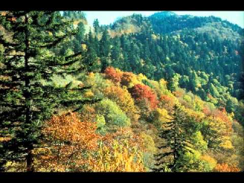 Tennessee Ramblers - Arkansas Traveler