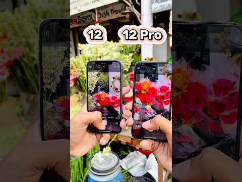 iPhone 12 Vs iPhone 12 Pro || Camera Zoom Test! #shorts