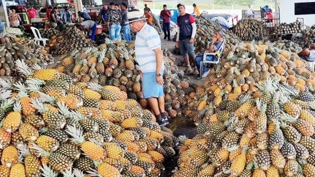 PREÇO BAIXO E FARTURA É NA CEACA EM CARUARU-PE. ISTO É NORDESTE!