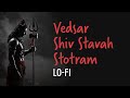Pashunam Patim Vedsar Stotram | Shiva Devotional Mantra for Strength, Peace, Healing & Meditation