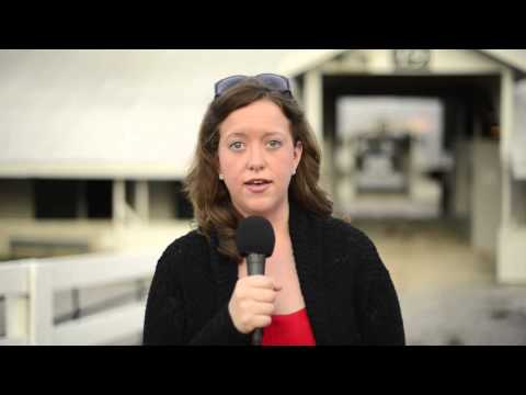 Keeneland September Sale - Day 1 Wrap-Up - 9/9/2013