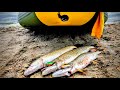 Video Thumbnail for Fall fishing for Pike | in my Tobin Sport Canyon Pro Boat