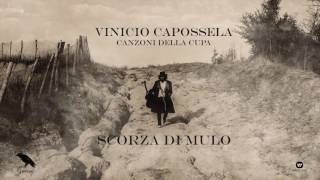 Scorza di mulo Music Video