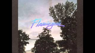 Flamingosis - Now or Never Ft. [Macross 82 99]