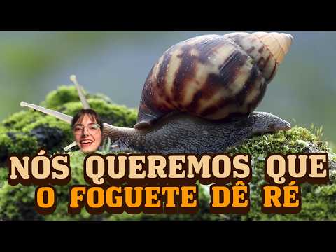 Bebel Ecologia and Soberana