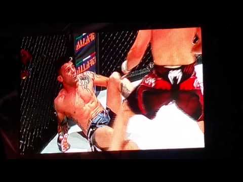 Francesco Controversa vs. Riccardo Schiesaro